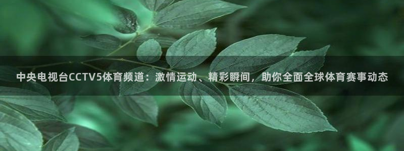 咪咕篮球直播免费观看：中央电视台CCTV5体育频道：激情运动、精彩瞬间，助你全面全球体育赛事动态