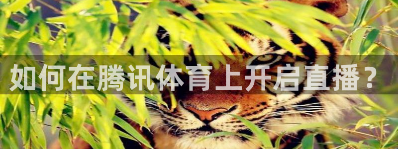 咪咕视频体育在线直播：如何在腾讯体育上开启直播？