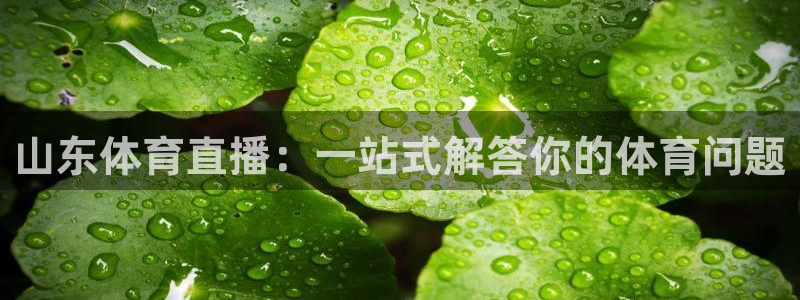 咪咕体育录像回放：山东体育直播：一站式解答你的体育问题