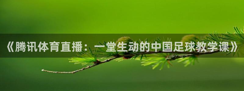 下载咪咕体育直播：《腾讯体育直播：一堂生动的中国足球教学课》