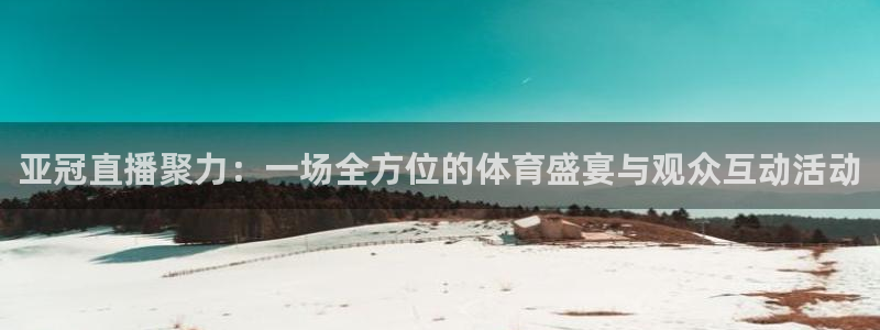 免费看咪咕体育直播：亚冠直播聚力：一场全方位的体育盛宴与观众互动活动
