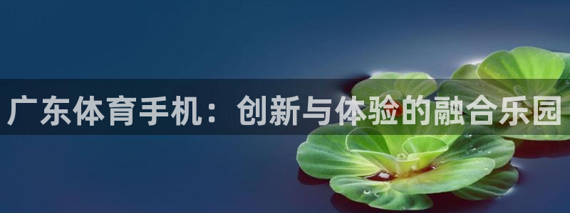 免费看咪咕直播：广东体育手机：创新与体验的融合乐园