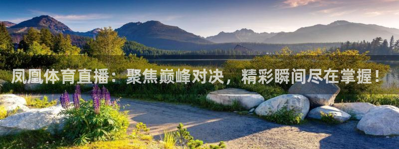 咪咕直播体育在线看：凤凰体育直播：聚焦巅峰对决，精彩瞬间尽在掌握！