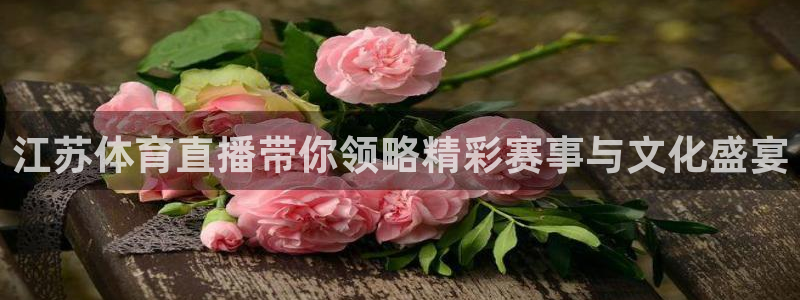 咪咕直播：江苏体育直播带你领略精彩赛事与文化盛宴